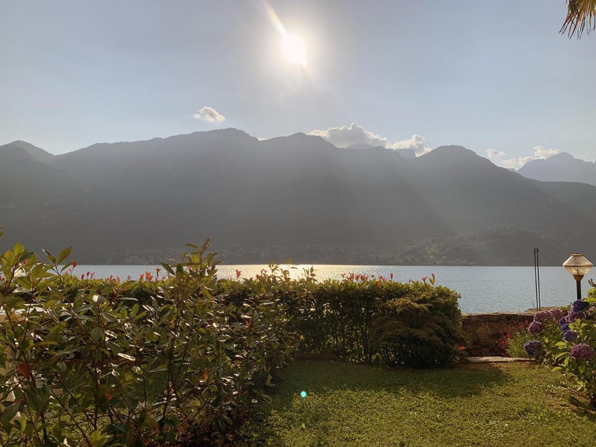 Terrace On The Lake Apartment Oliveto Lario Exterior foto